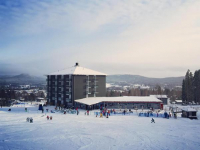 Bergshotellet in Järvsö